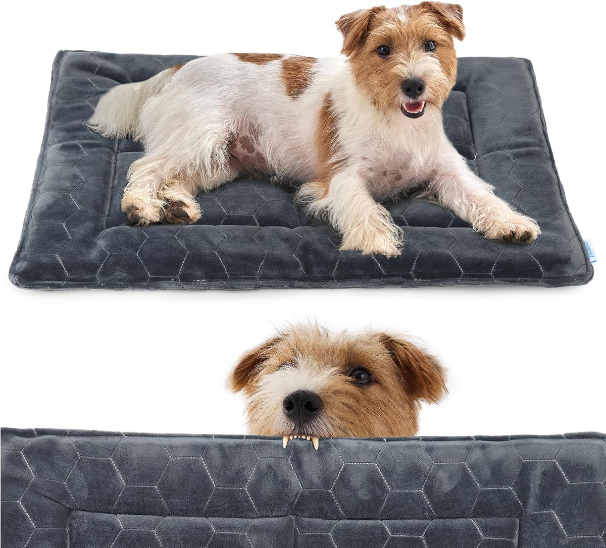 Chew Proof Dog Mat - Indestructible Durable Kennel Mat for Aggressive Chewers, Machine Washable, Chew Proof Dog Crate Pad with Reinforced Corners, Indoor Use for Medium Dogs, Grey, 35"x22" - Image 10