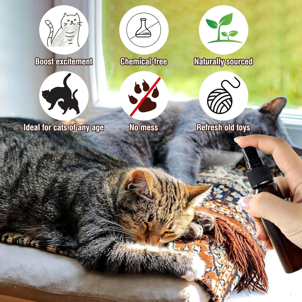 Natural silvervine and catnip extract spray nozzle application on a cat scratching post