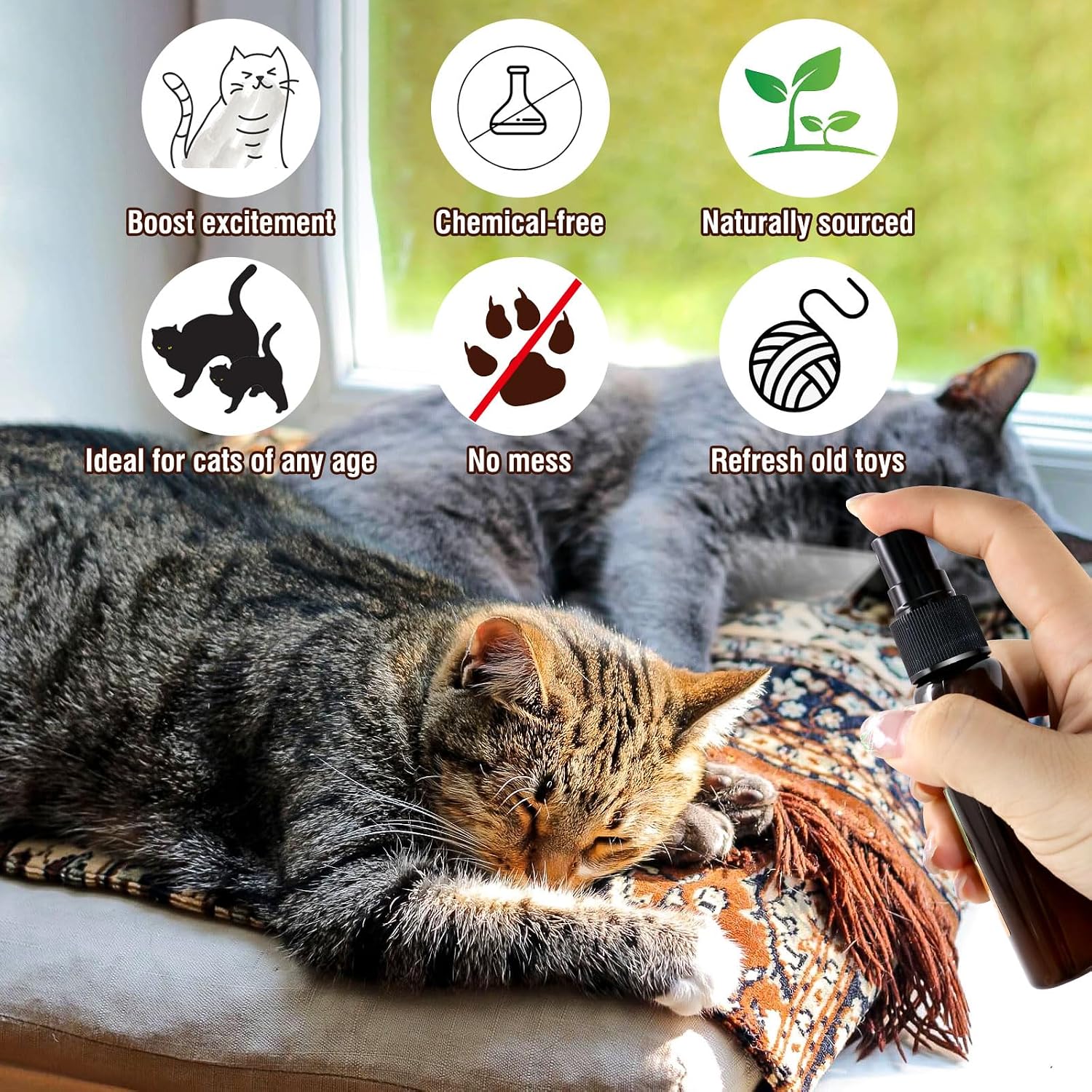 Natural silvervine and catnip extract spray nozzle application on a cat scratching post