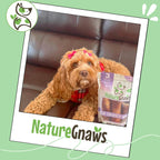 Authentic USA imported dog chews by Nature Gnaws