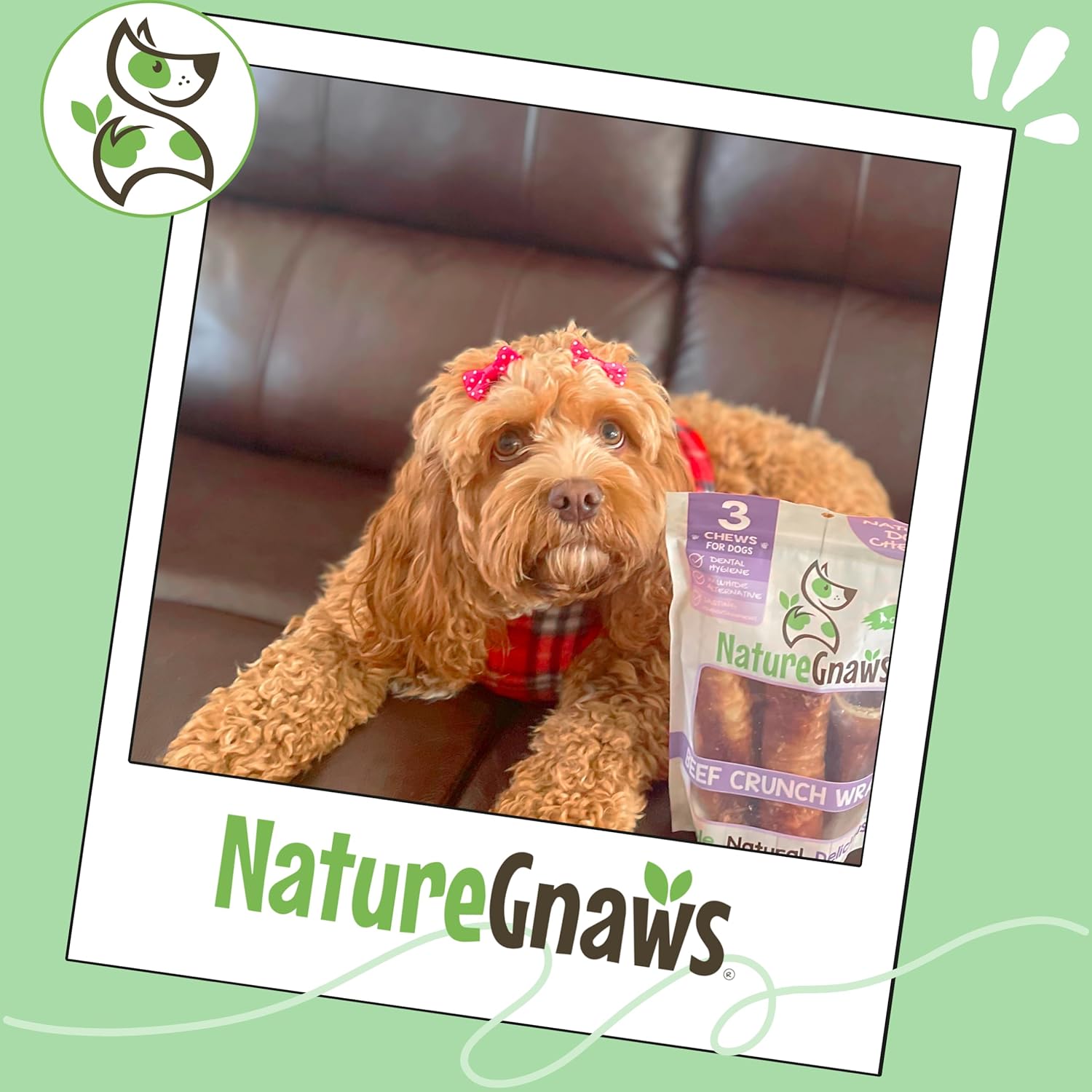 Authentic USA imported dog chews by Nature Gnaws