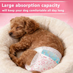Leak proof edge guards on female dog hygiene nappy close up