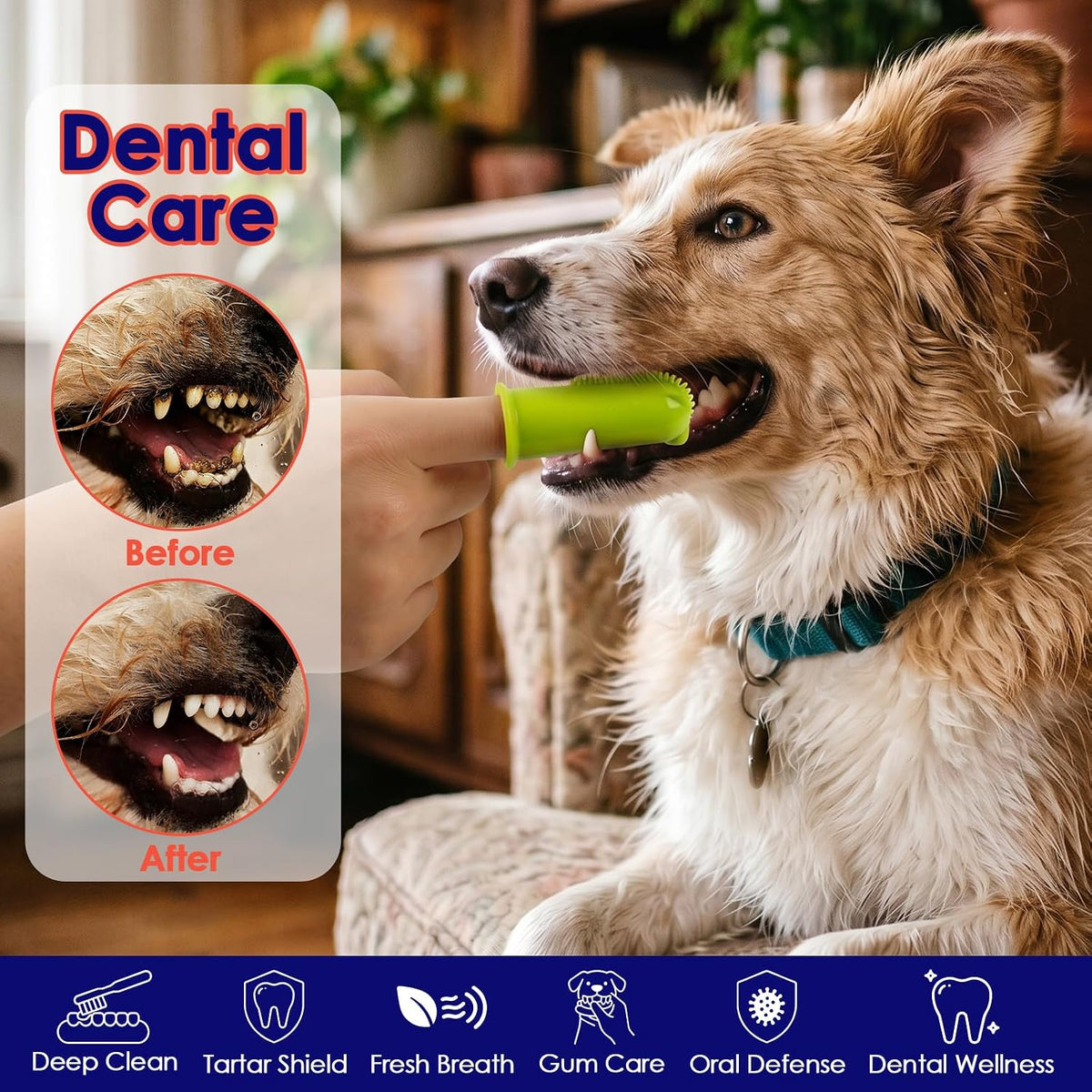Soft silicone bristles on dog finger toothbrush for plaque removal