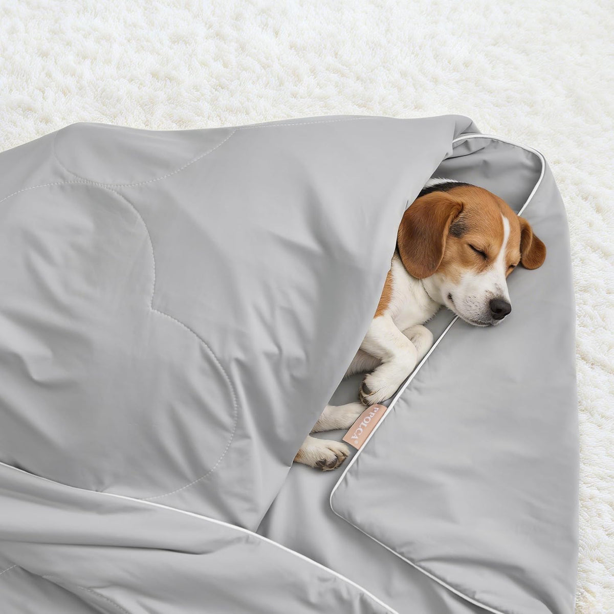 Premium imported dog cooling throw protecting the back seat of a vehicle.