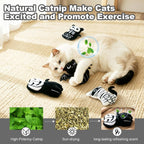 Catnip Halloween Cat Toys, Goth Kitten Toy for Indoor Cats ,4PCS - Image 5