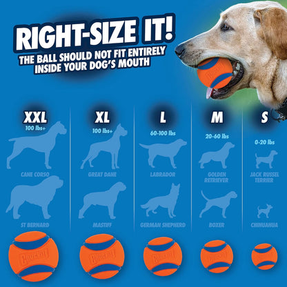 Chuckit! Ultra Ball next to a small dog for size reference