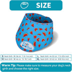 Dog wearing All For Paws chill out cooling neck wrap