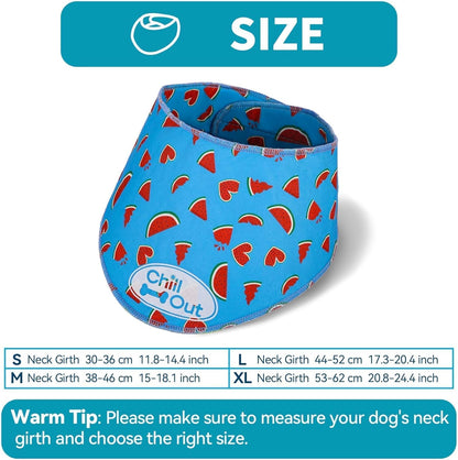 Dog wearing All For Paws chill out cooling neck wrap