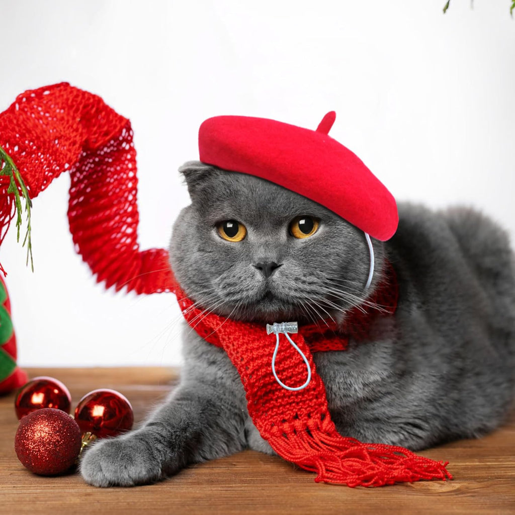 Marsrut pet costume headwear accessory in packaging
