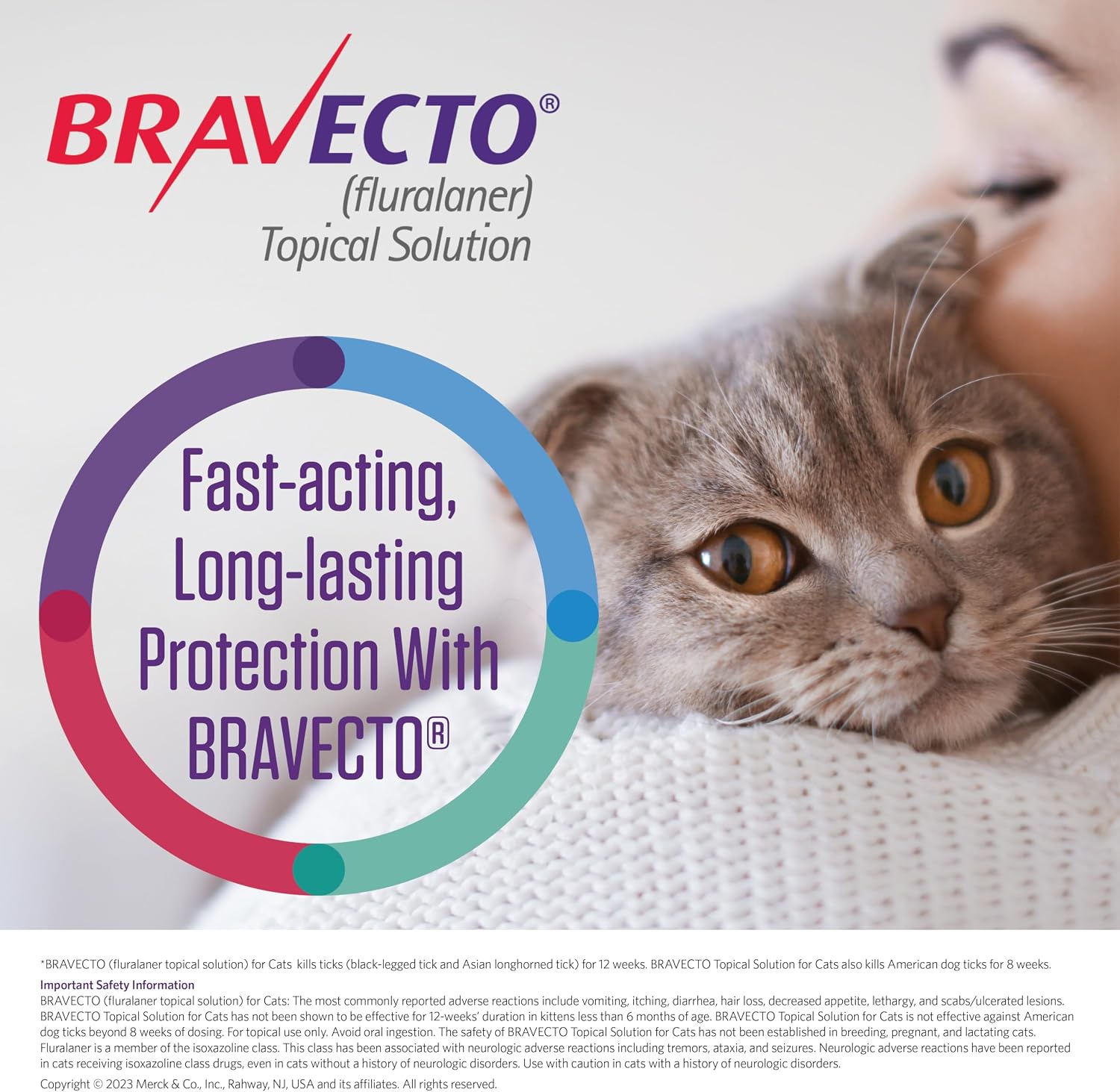 Bravecto topical medication label for medium cats