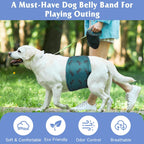 Grecle extra small male dog wraps illustrating the adjustable snap closure design