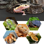 Vodolo black reptile habitat bedding rolled out