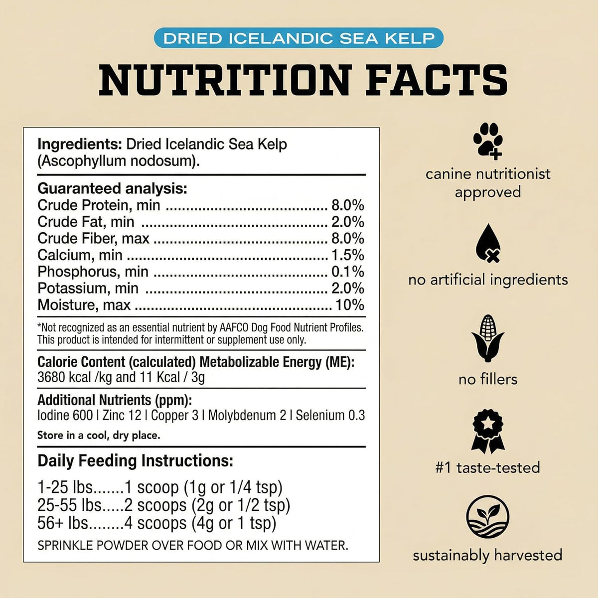 Healthy dog and cat enjoying food with Back 40 Dogs supplement