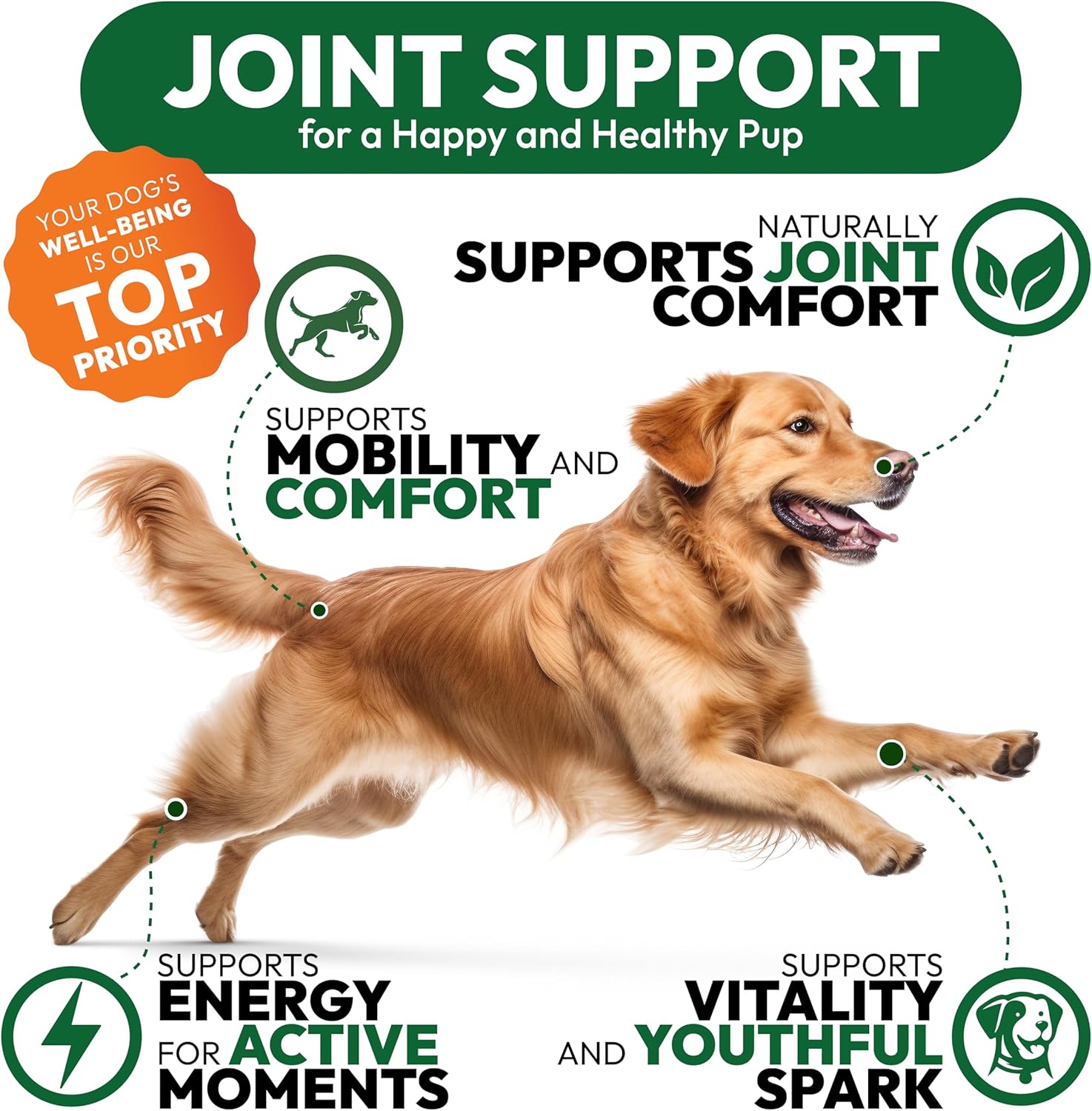 Petsology glucosamine chews bottle with dog breed examples