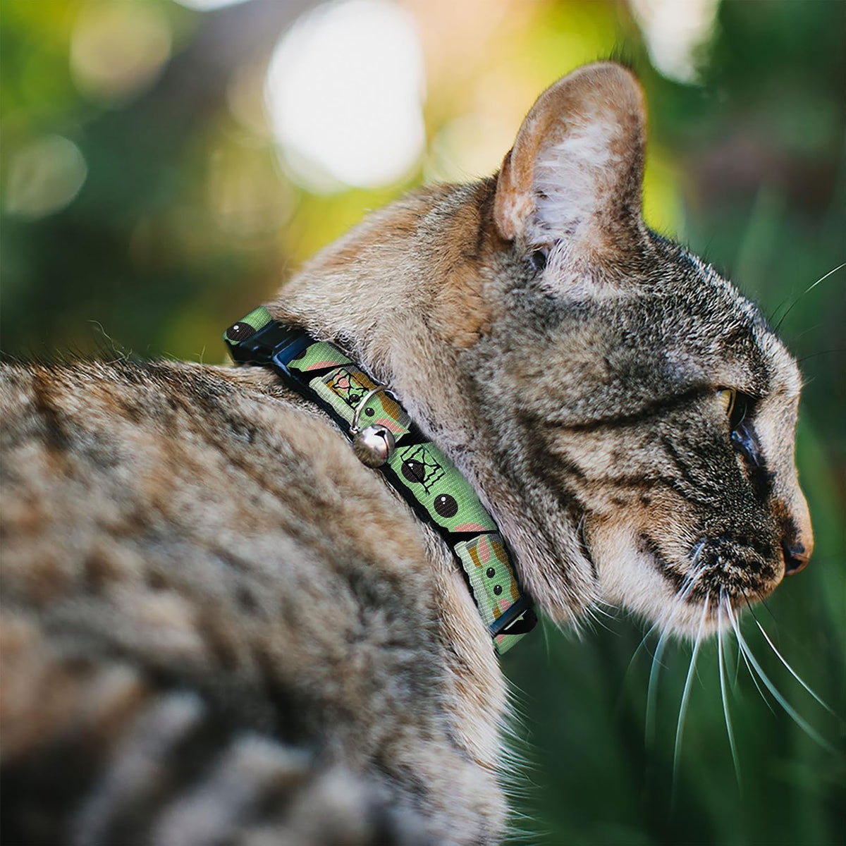 Buckle-Down Star Wars cat collar breakaway plastic buckle close-up view