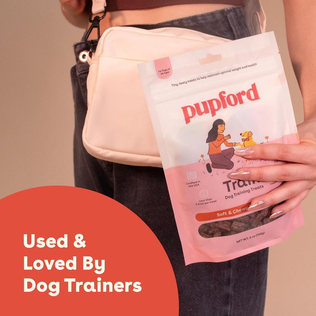 Texture of Pupford soft and chewy beef dog treats