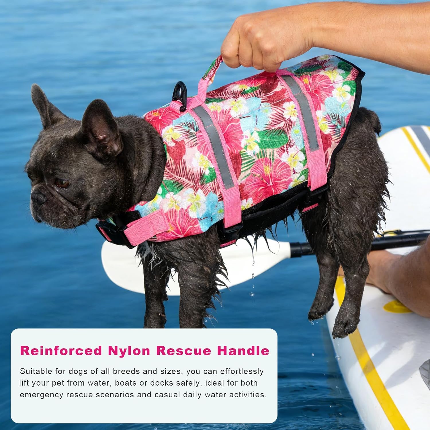 High buoyancy dog life vest with breathable mesh underbelly lining