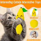Kitten playing with vegetable shaped catnip chew toy