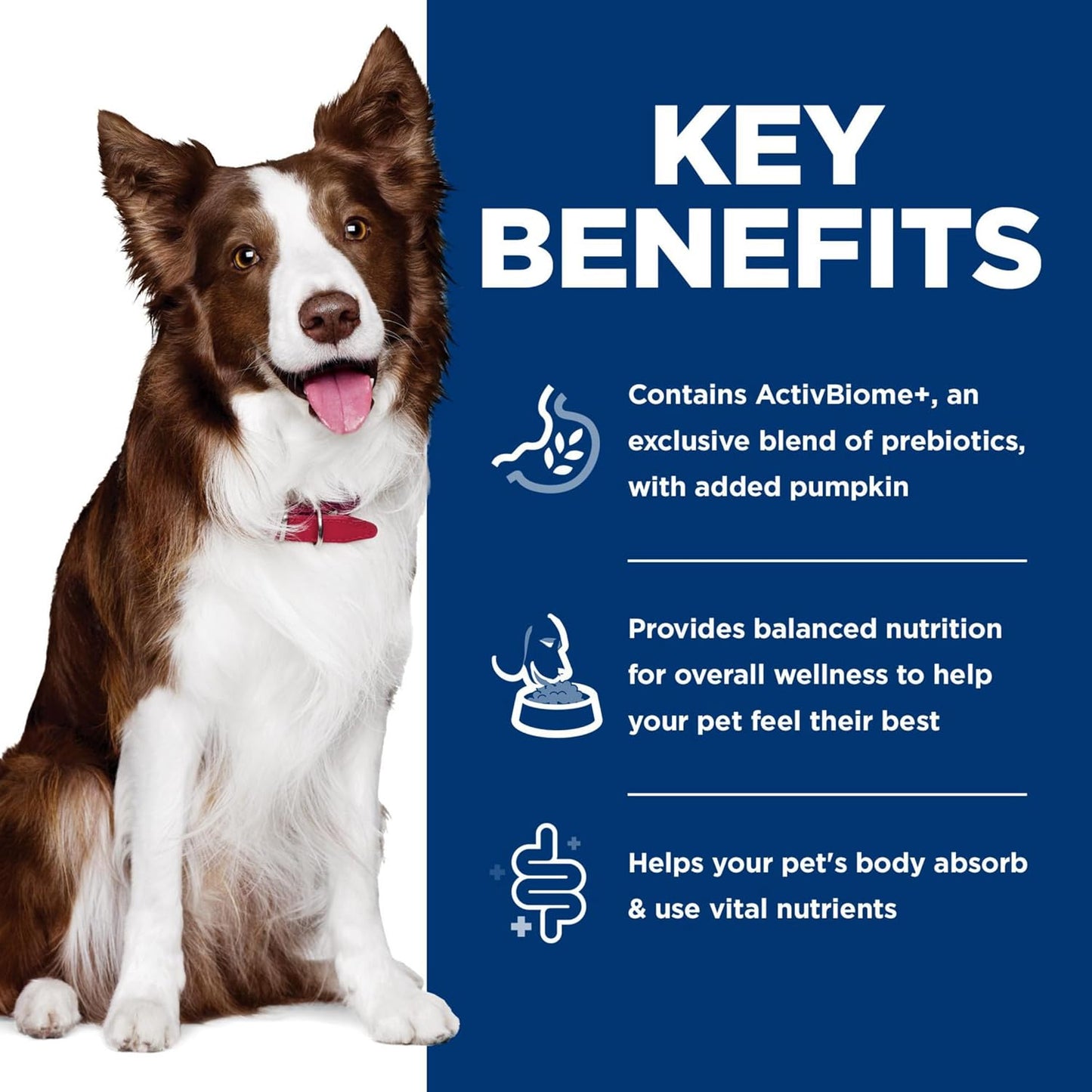 Can of Hill's Science Diet dog food featuring ActivBiome+ technology for gut microbiome support.