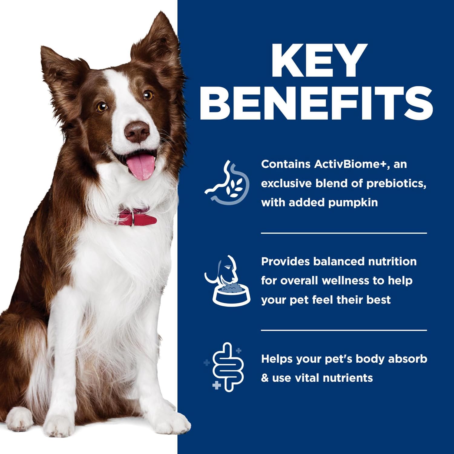 Can of Hill's Science Diet dog food featuring ActivBiome+ technology for gut microbiome support.