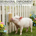 Rear view of the Tizee mini pig grooming brush showing multi surface mounting base.