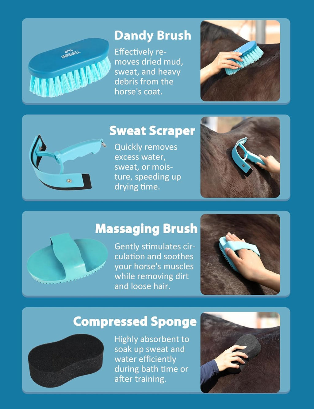 Shinewell horse brushes and combs for daily care