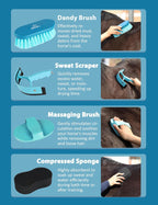 Shinewell horse brushes and combs for daily care