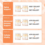 Branvine NAD+ CellVet cellular resilience supplement