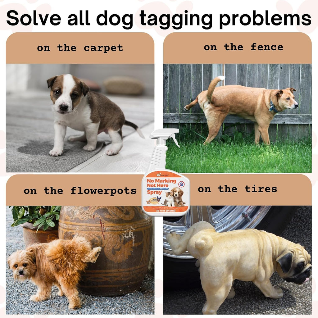 Oaiegsd brand dog training product in a home setting
