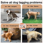 Oaiegsd brand dog training product in a home setting