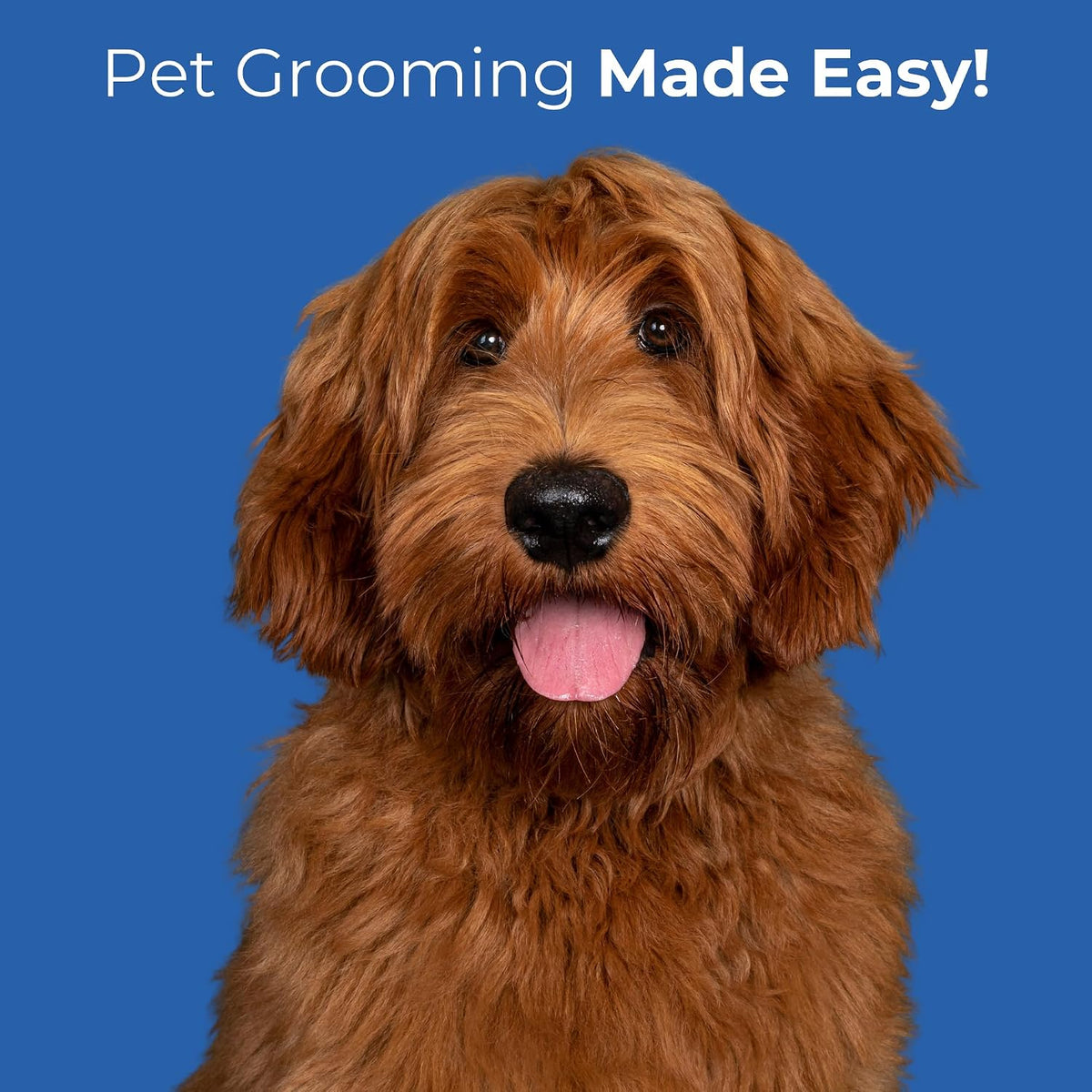 Freshly Bailey premium imported pet grooming tool set packaged for delivery