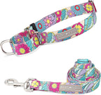 Lucky Love Dog Martingale Dog Collar - Adjustable, No-Slip, Durable, & Soft Webbing Collar for Male and Female Dogs Ideal for Training & Walking - Blackbird, Medium - Image 10