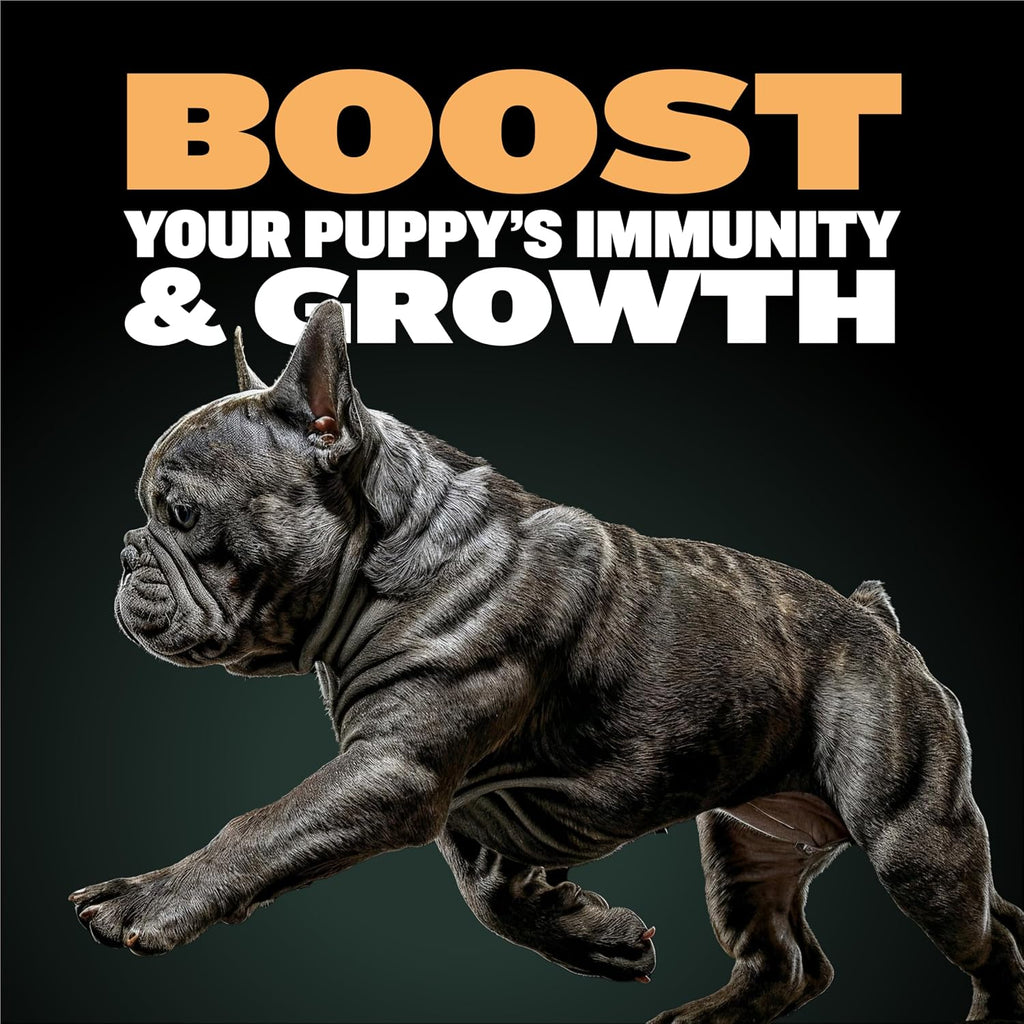 Bully Max chicken formula puppy food ingredients label