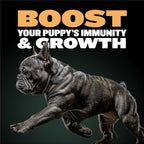 Bully Max chicken formula puppy food ingredients label
