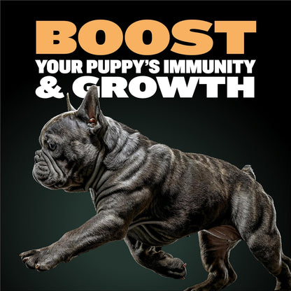 Bully Max chicken formula puppy food ingredients label
