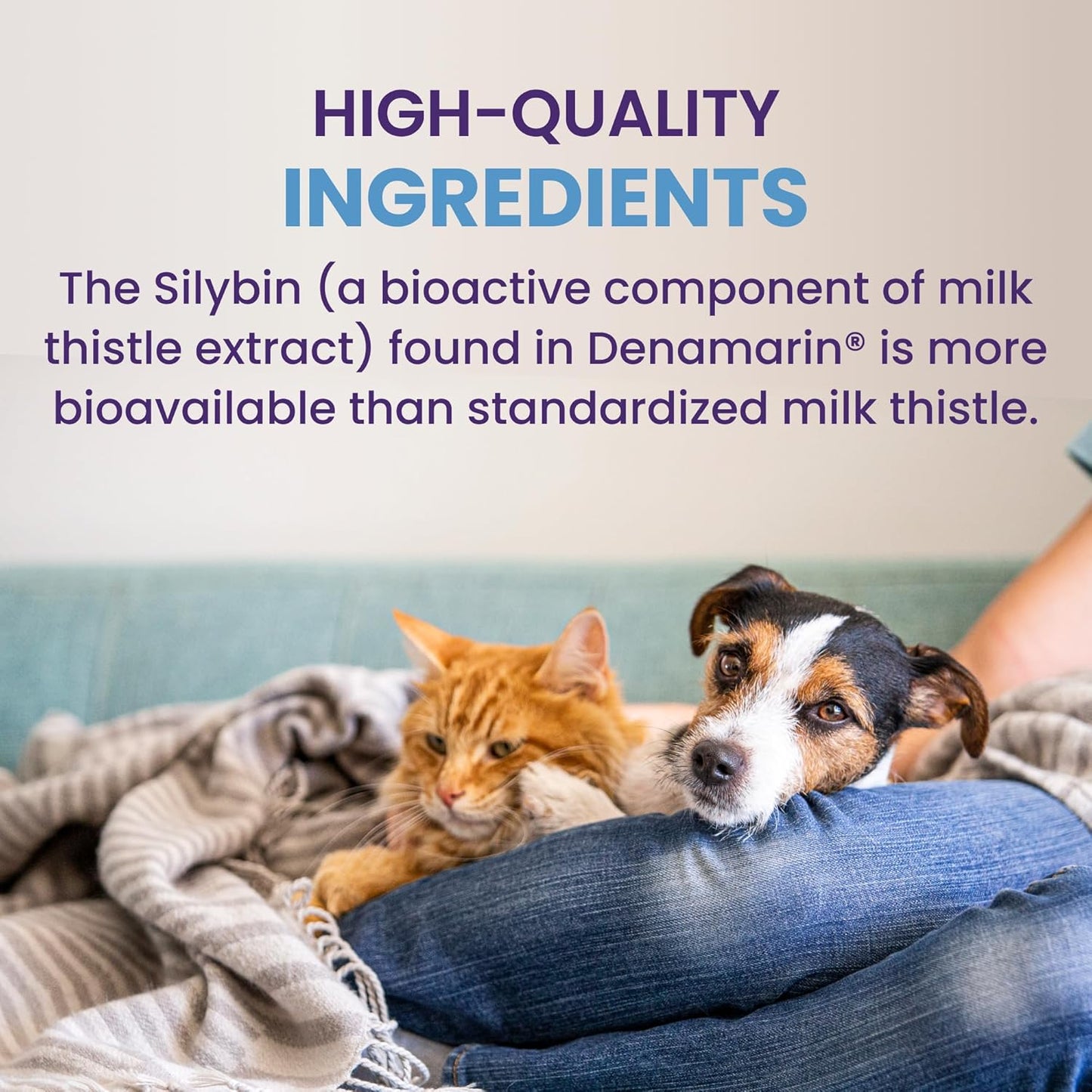 Authentic imported Nutramax Denamarin veterinary health formula for pet wellness