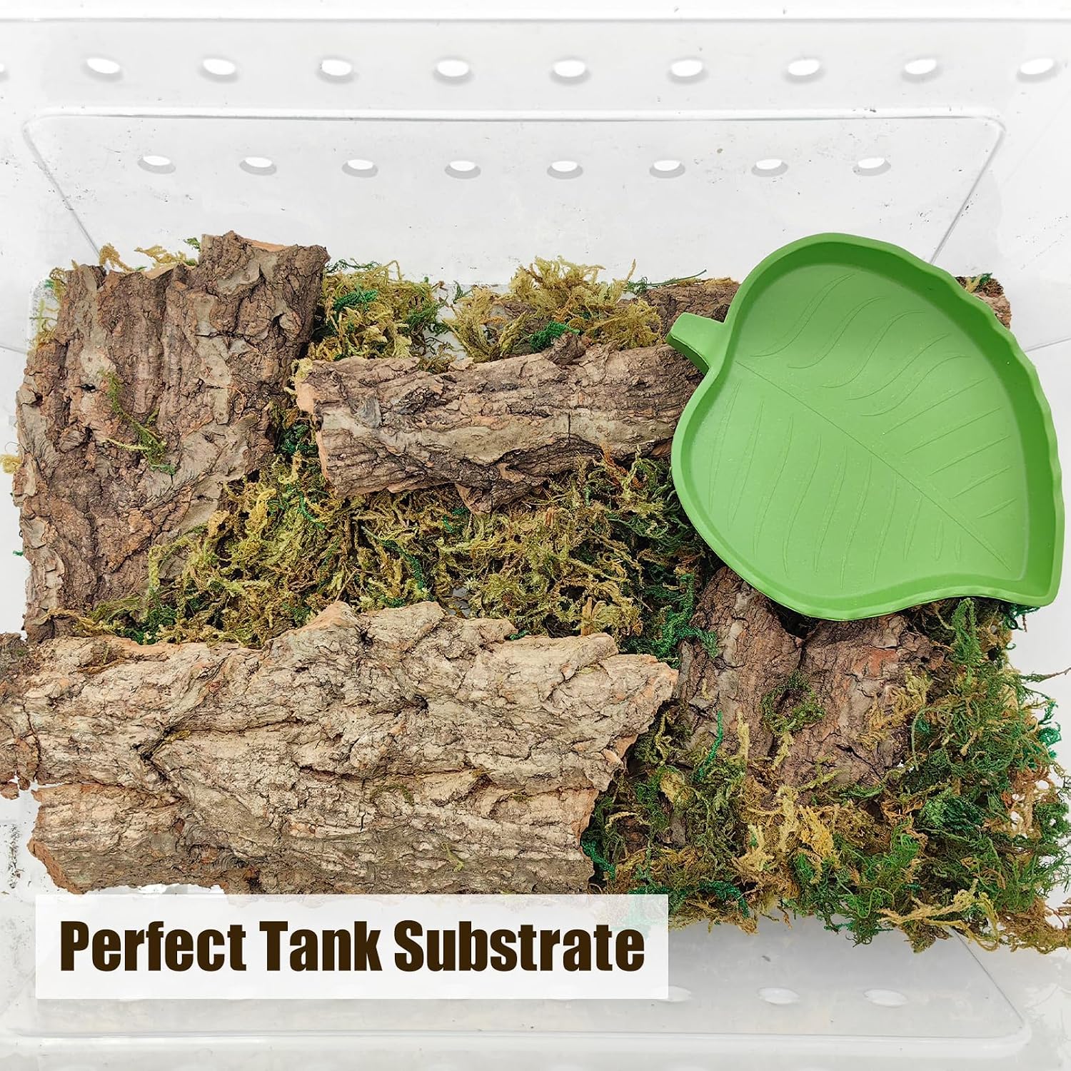 Textured flat cork wood background decoration for enclosures