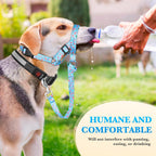 Domiglow dog face harness front clip leash attachment system demonstration