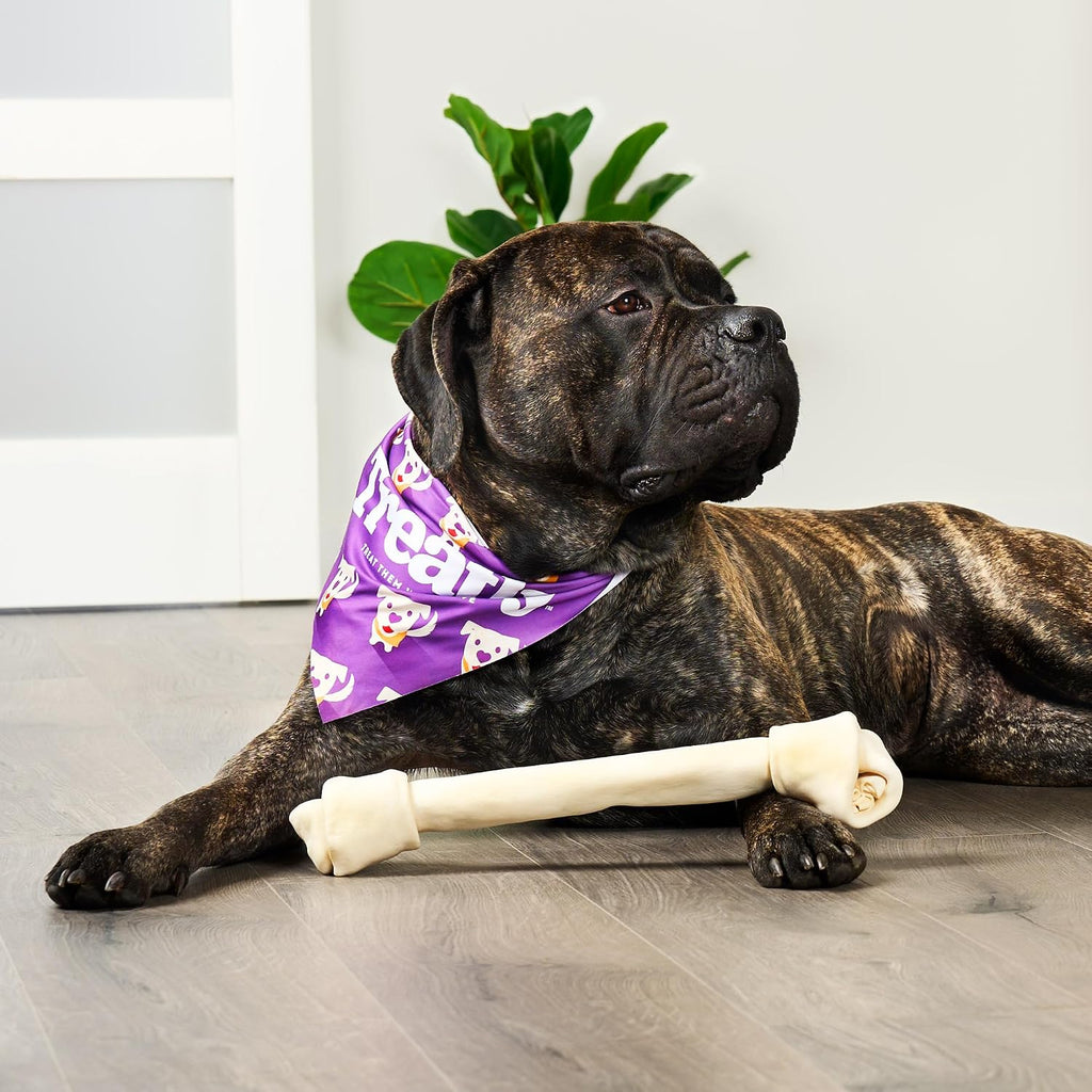 Treatly natural flavor rawhide dog bone for aggressive chewers close up view.