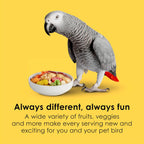 Nutritional label of Kaytee Fiesta Parrot Food imported bird supplies