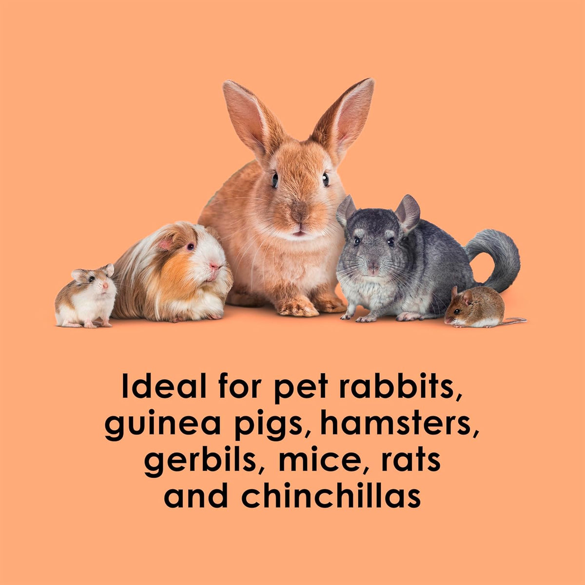 Kaytee small animal immune support treat pouch angle view