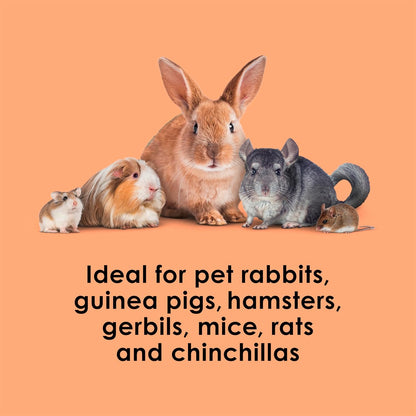 Nutritious cranberry and orange flavored crunchy bites for pet immune health support.