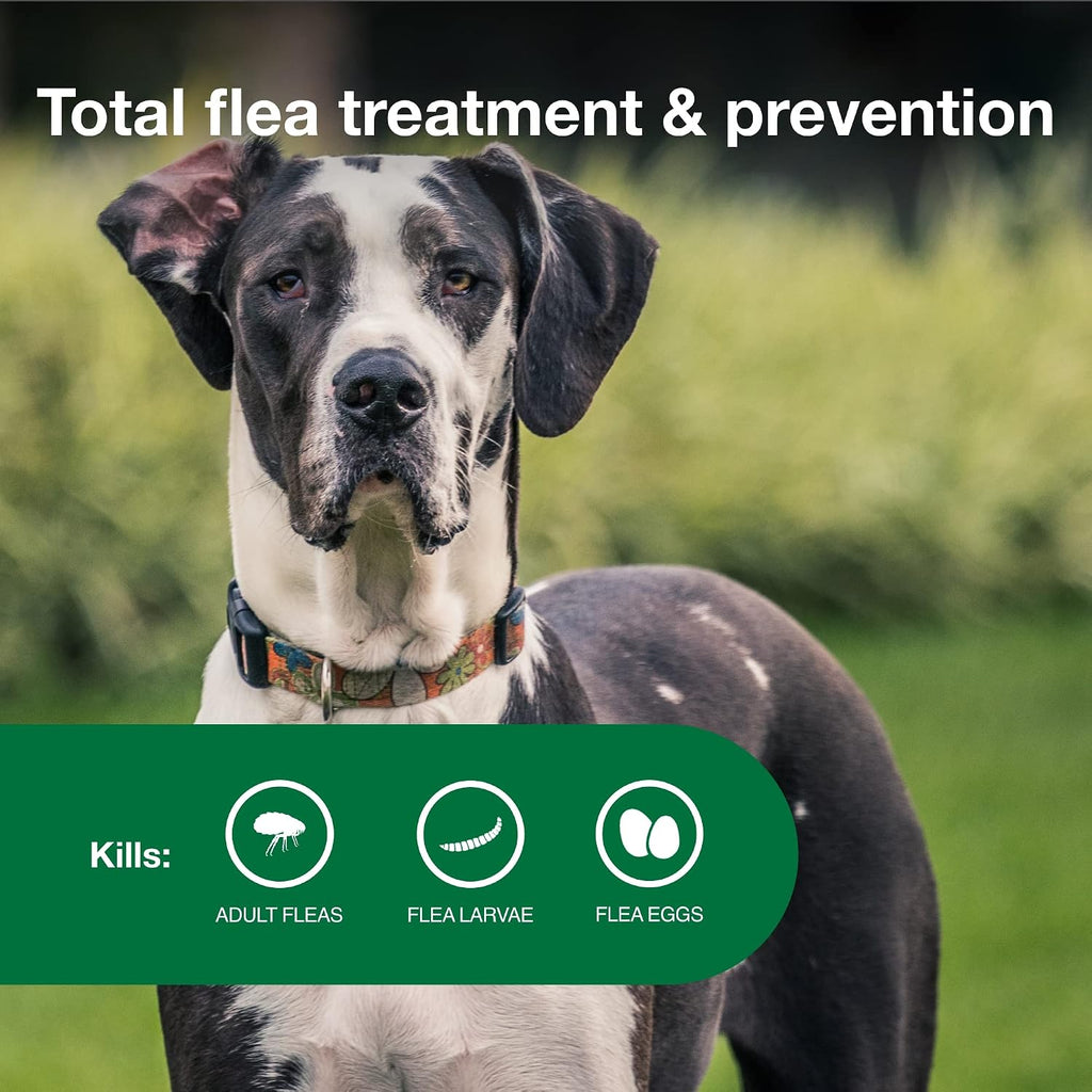 Authentic imported pet flea and lice defense treatment tube close up overview.
