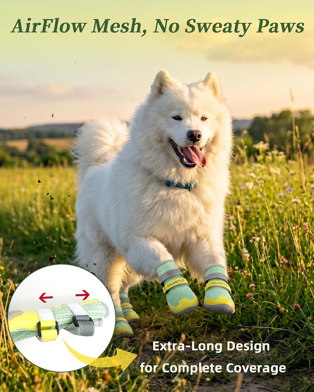 Close up of adjustable straps on Huafly dog footwear