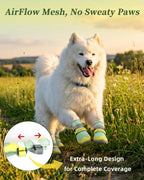 Close up of adjustable straps on Huafly dog footwear
