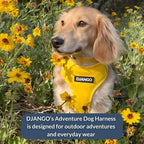 Django adventure harness labels and premium hardware details