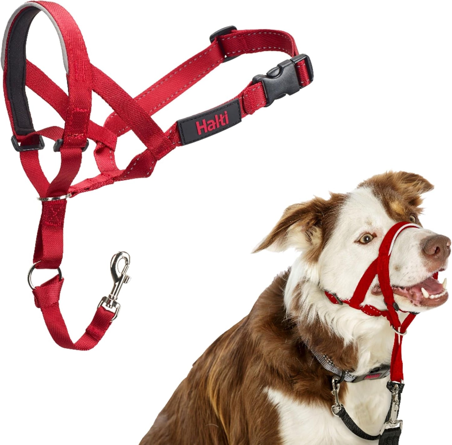 Halti Headcollar - Stop Your Dog Pulling on the Leash. Adjustable, Reflective and Lightweight, with Padded Nose Band. Dog Training Anti-Pull Collar for Medium Dogs (Size 3, Black) - Image 12