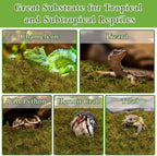 Halatool organic moss substrate inside a glass snake enclosure