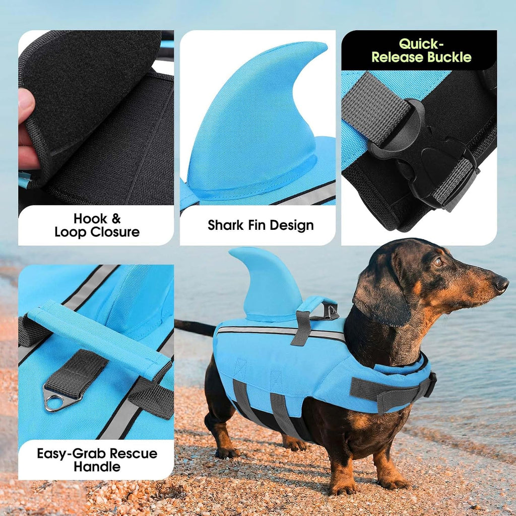 Side profile of small breed dog wearing blue shark flotation jacket.