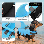 Side profile of small breed dog wearing blue shark flotation jacket.